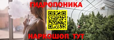 прущие крисы Северобайкальск