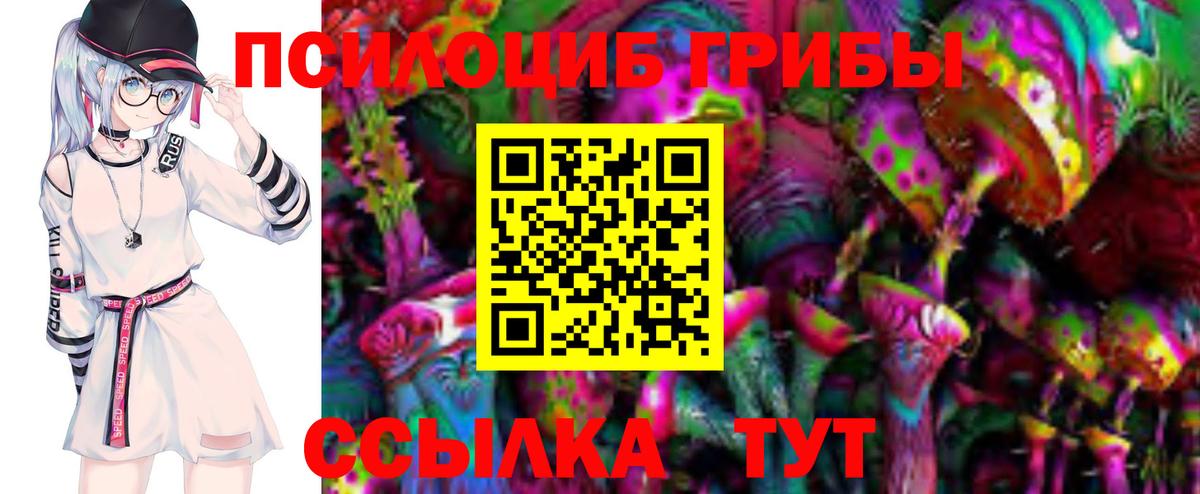 наркошоп  Вход с VPN  Новороссийск  Псилоцибиновые грибы GOLDEN TEACHER 