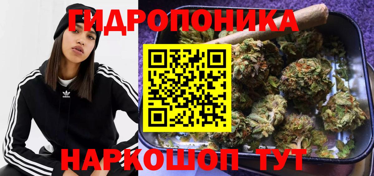 Бошки марихуана конопля Новороссийск